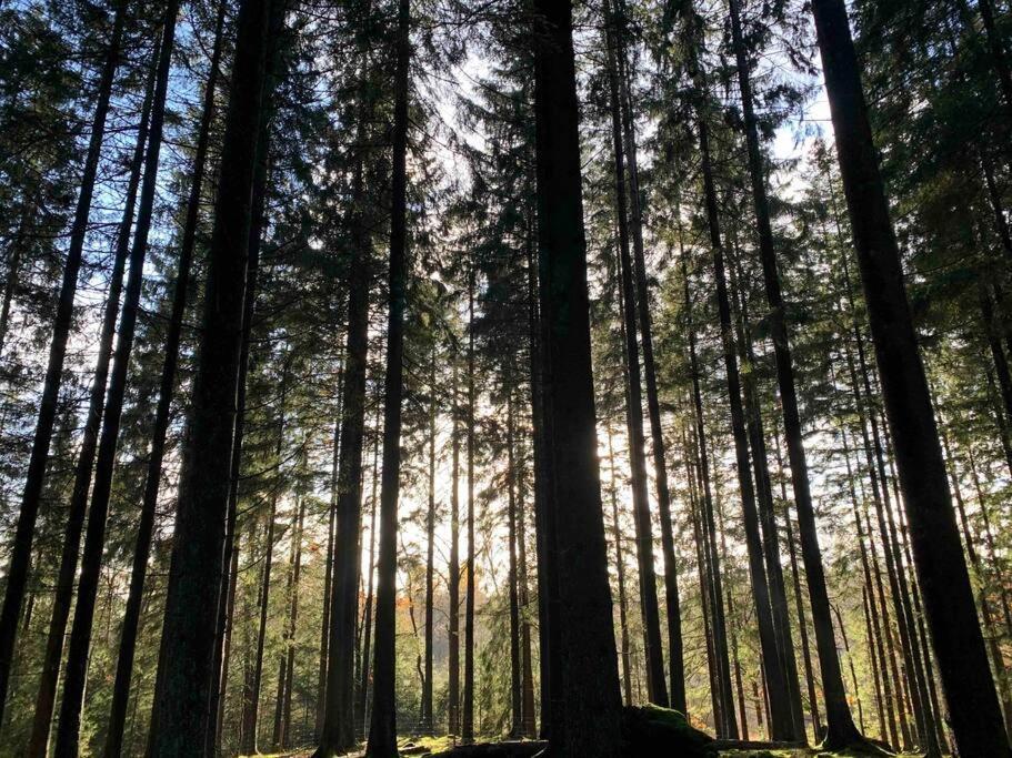Panoramavy Naera Gbg Och Natur Olofstorp 외부 사진