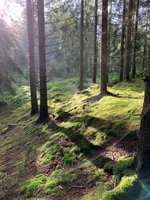 Panoramavy Naera Gbg Och Natur Olofstorp 외부 사진